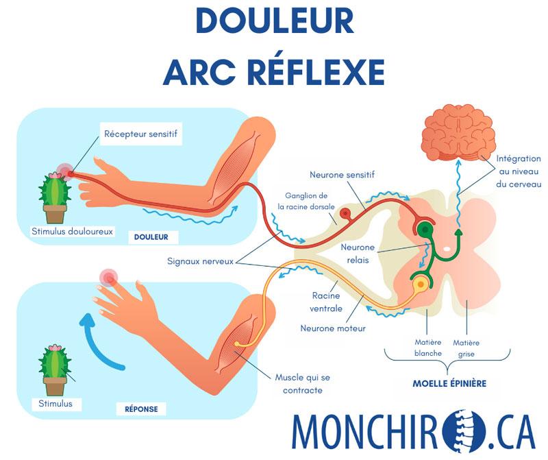 Douleur Chronique Astuces Et Pistes De Solution Dre Marie Eve Douleur Chronique Astuces Et Pistes De Solution Dre Marie Eve